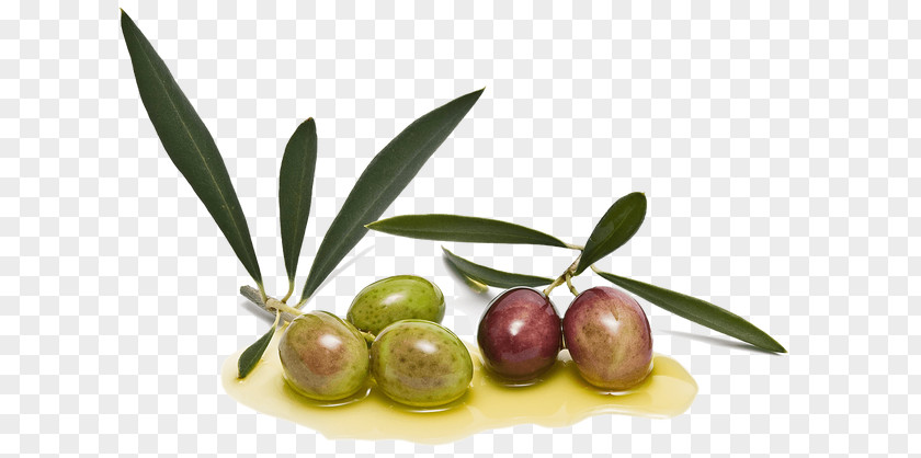 Olive Oil Condiment Picual Arbequina PNG