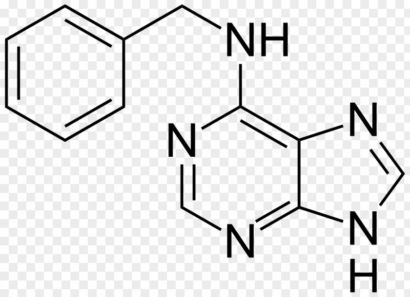 Plant Dietary Supplement 6-Benzylaminopurine Pyridoxine Nicotinamide PNG