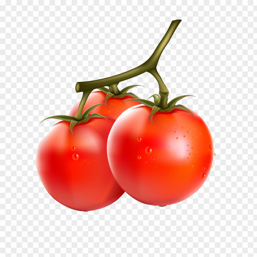 Tomato Cherry Vegetable Fruit Eggplant PNG