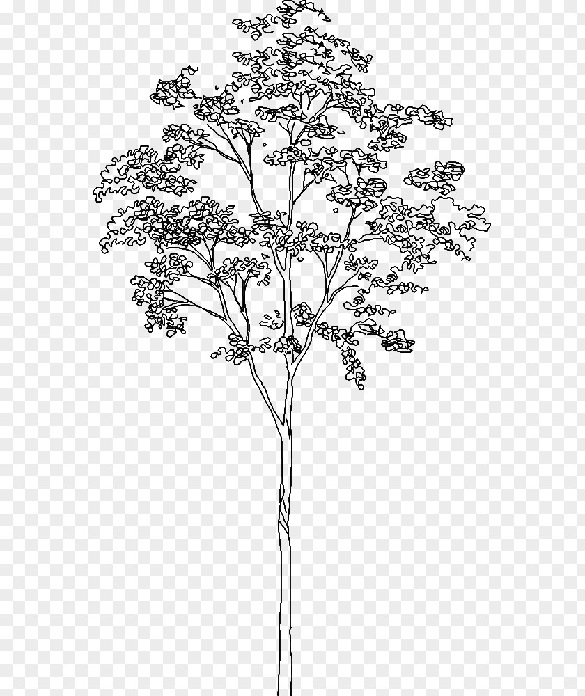 Tree Architecture Drawing PNG