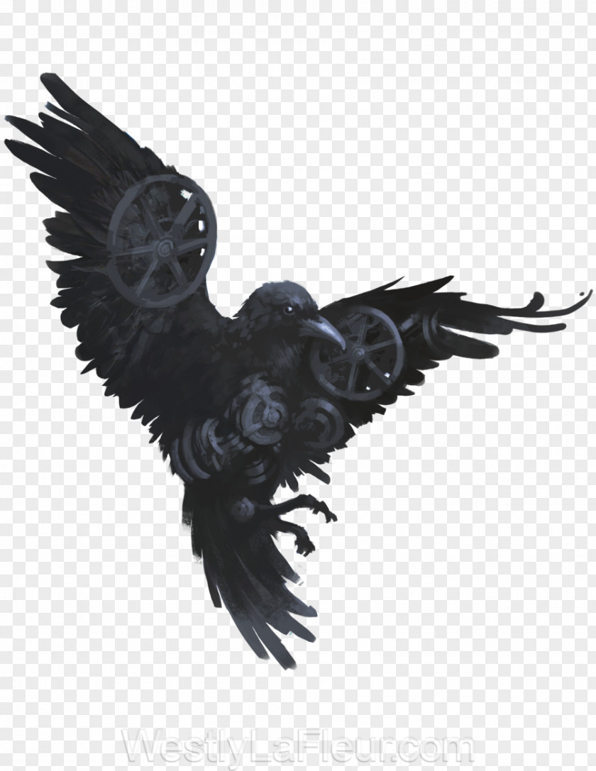 Bird American Crow Common Raven Drawing Art PNG