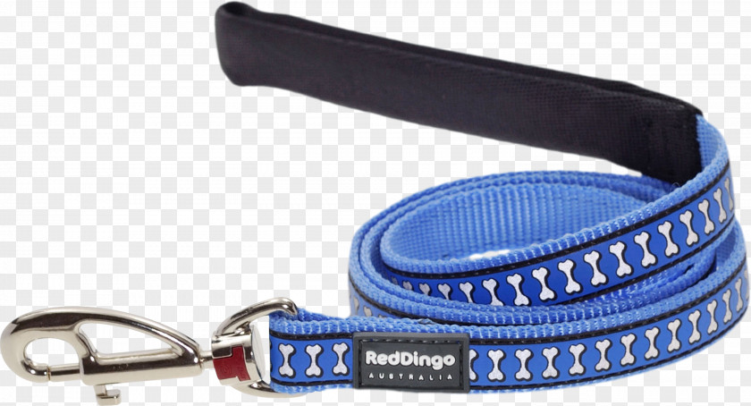 Dog Leash Collar Dingo Grooming PNG