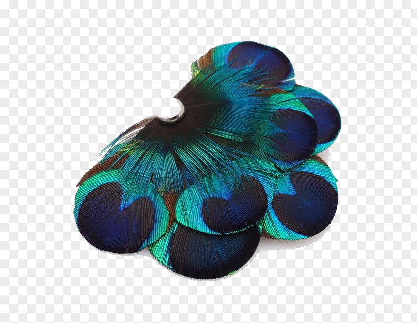 Fan Feather Peafowl Designer PNG