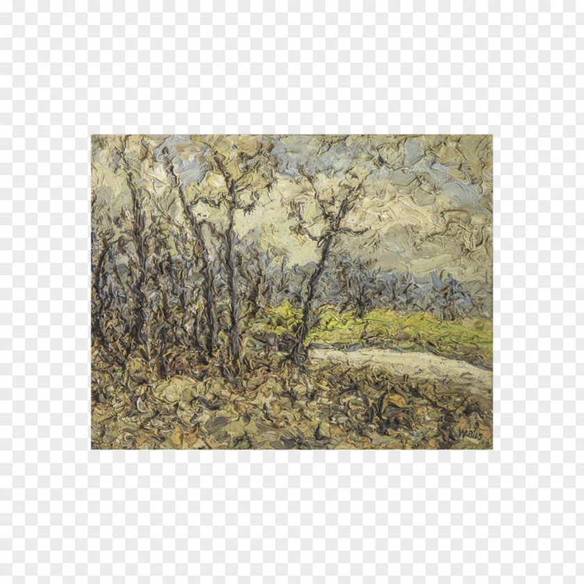 Painting Ecosystem Shrubland PNG