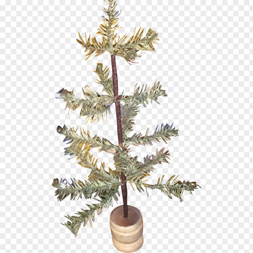 Spruce Fir Christmas Decoration Tree Ornament PNG