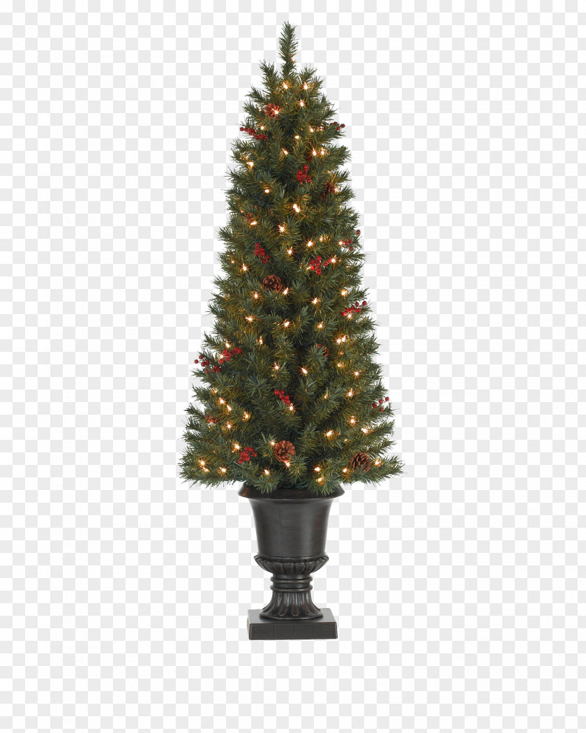 Tall Christmas Tree PNG