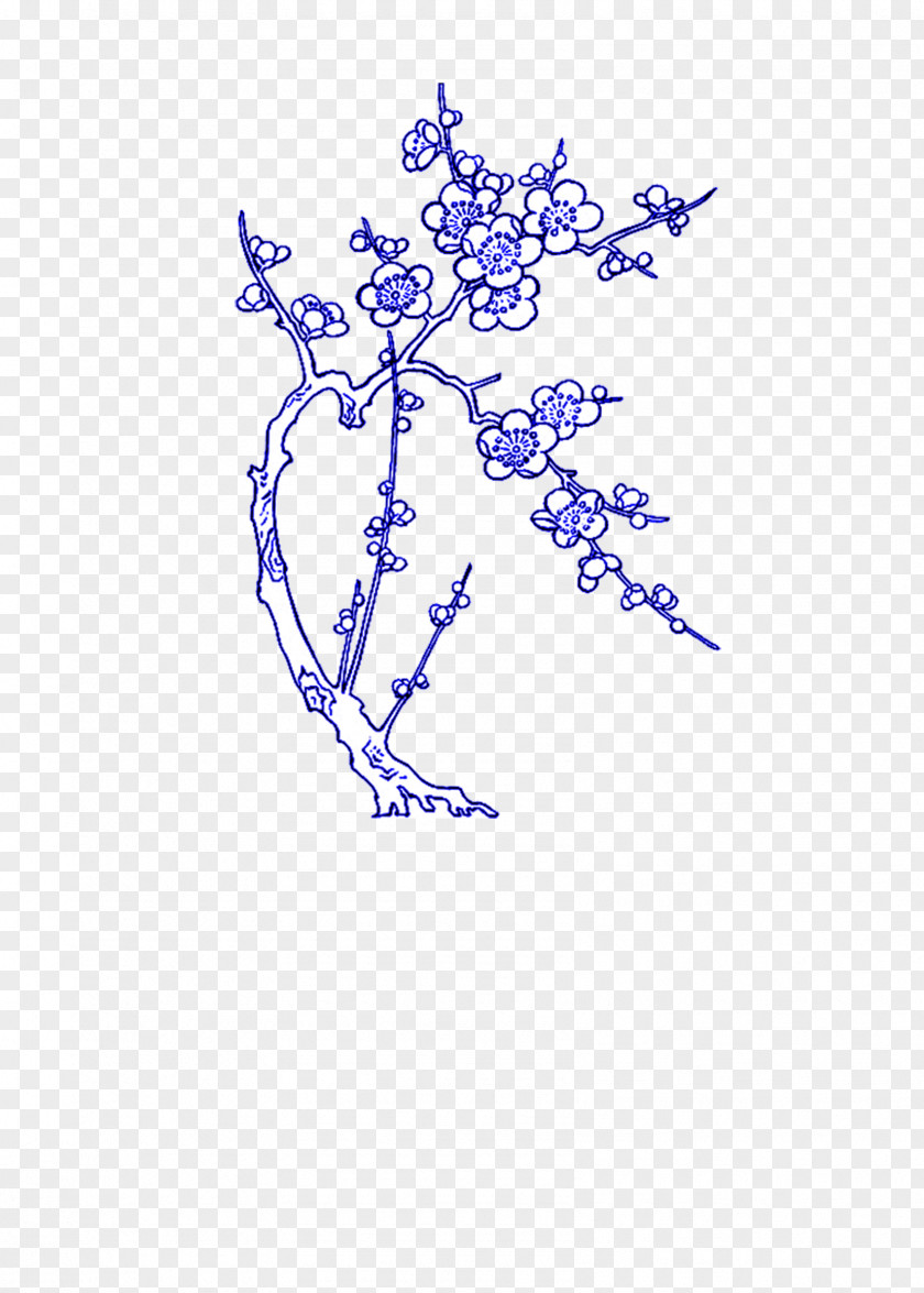 Winter Plum Drawing PNG