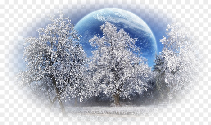 Winters Desktop Wallpaper Winter Photography PNG