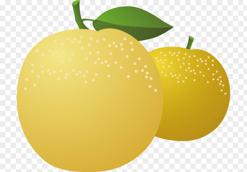 Apple Pear Vector Material Lemon Asian PNG