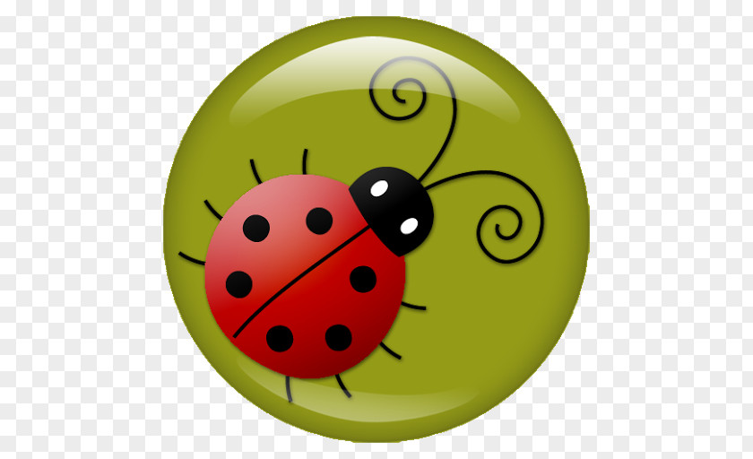 Beetle Ladybird Ladybugs Image Drawing PNG