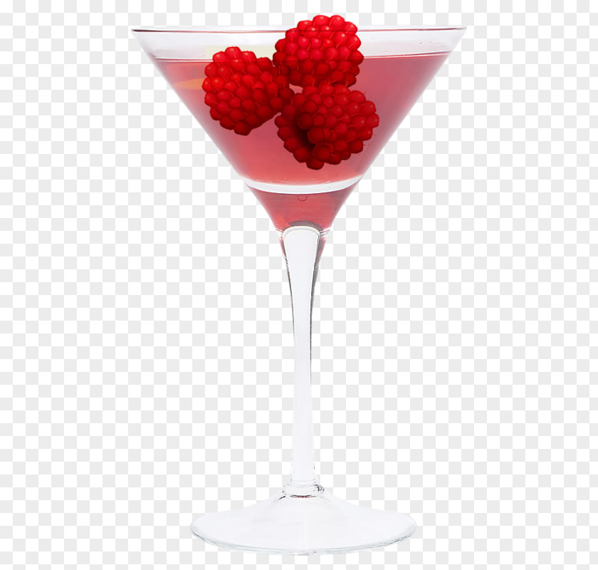 Cocktail Garnish Martini Wine Glass Mojito PNG