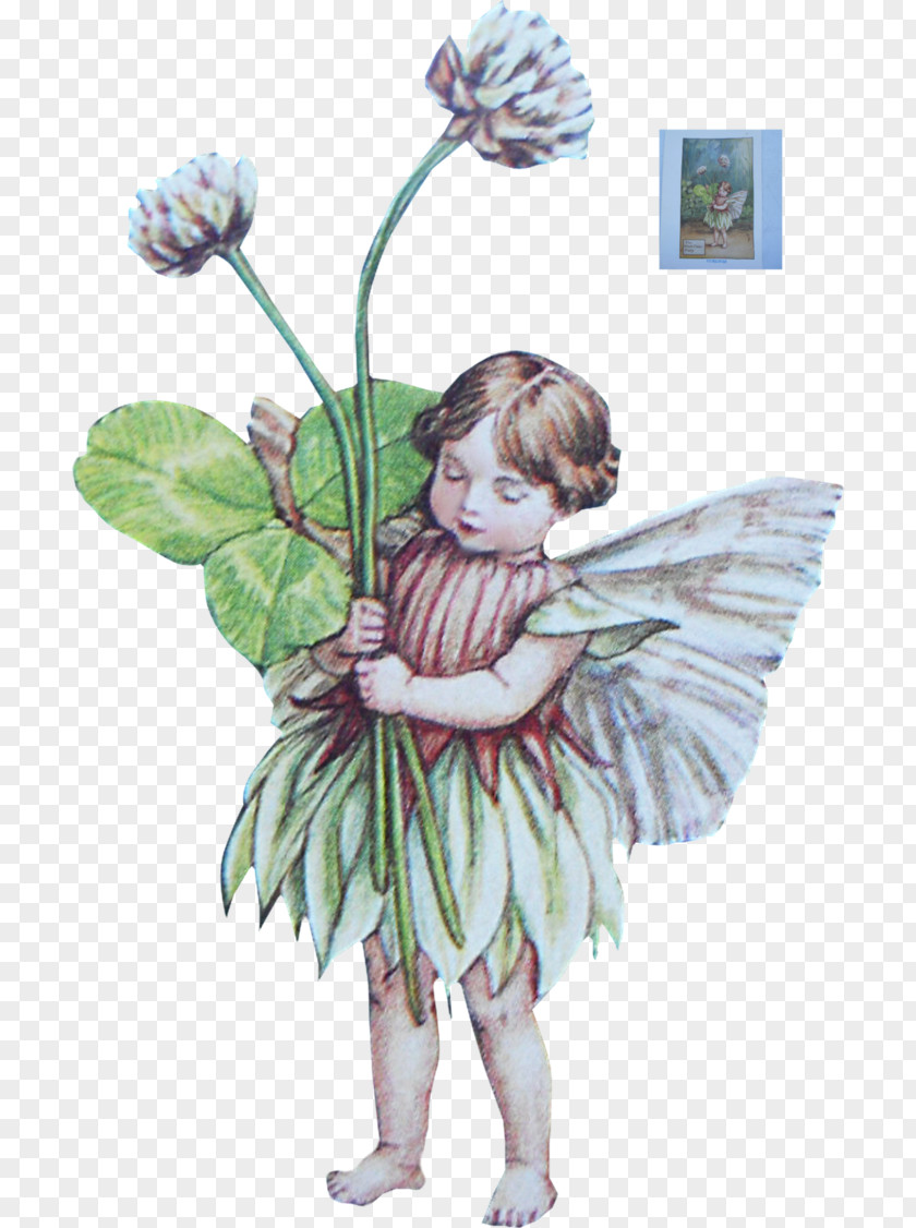 Fairy Flower Fairies Of The Summer Duende Elf PNG