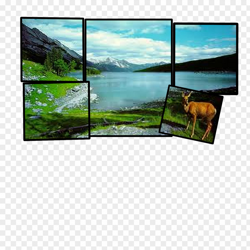 Filmstrip Television Landscape Display Device Ecosystem Technology PNG