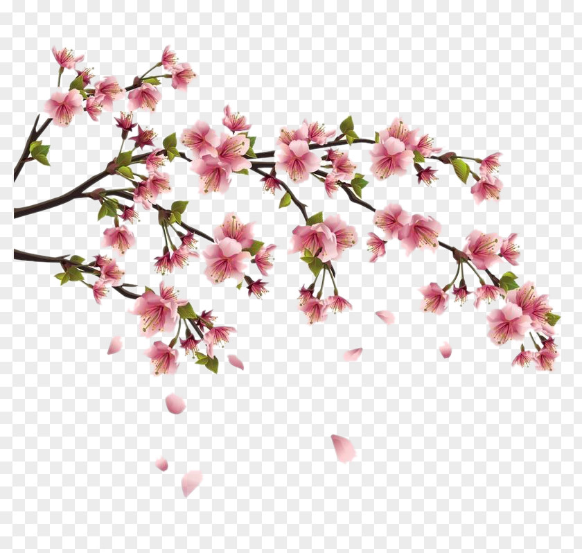 Gone Peach Miles Wall Decal Sticker Cherry Blossom PNG