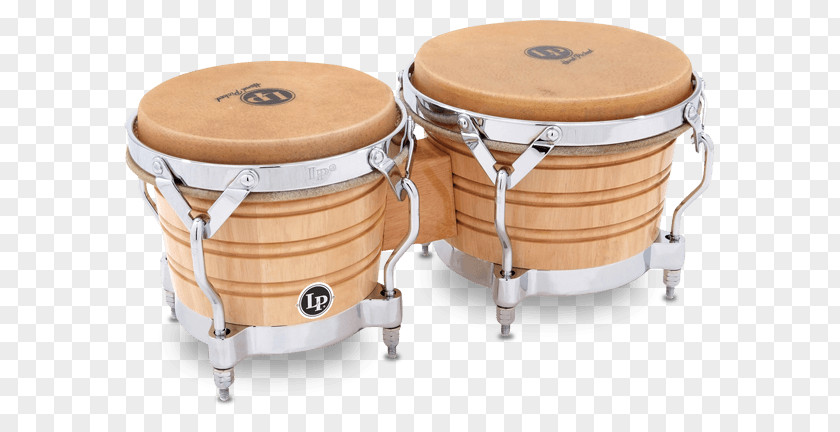 Latin Percussion Bongo Drum Musician PNG
