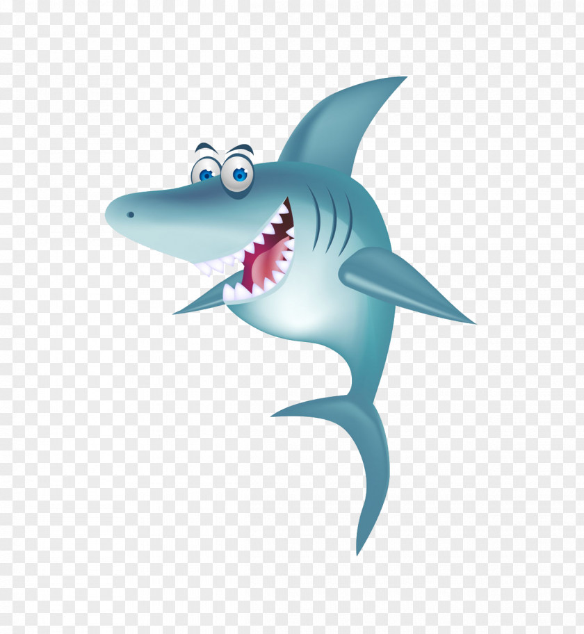 Shark Cartoon Cuteness PNG