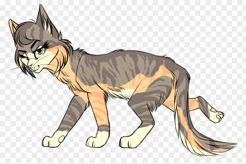 Tiger Whiskers Cat Dog Canidae PNG