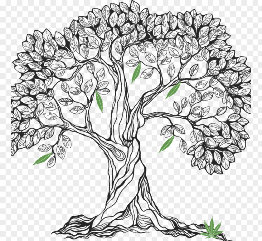 Tree Drawing Royalty-free PNG