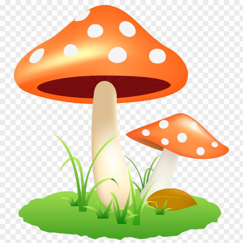 Agaric Fungus Mushroom Clip Art PNG