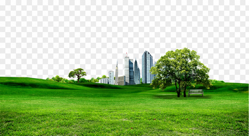 Grass Building Taishan PNG