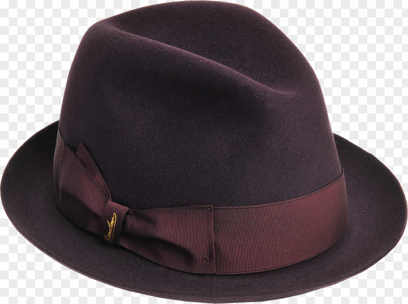 Hats Hat Fedora Headgear Clothing Accessories Purple PNG