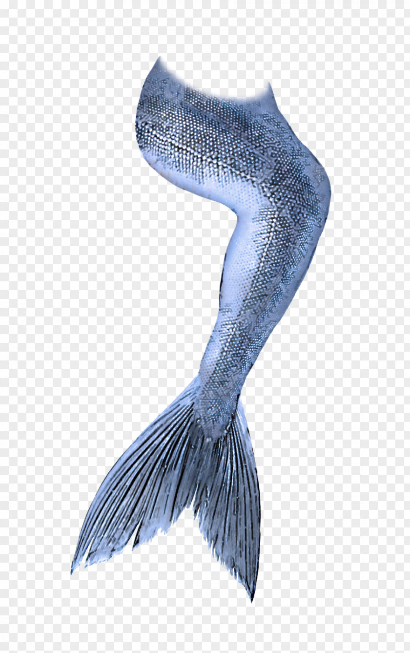 Metal Tail Fish Wing Blue Whale Fictional Character PNG