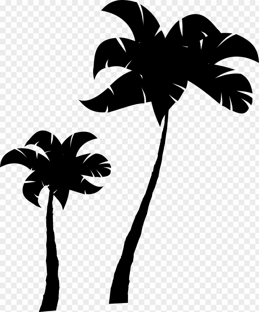 Palm Trees Clip Art Sticker Branch PNG