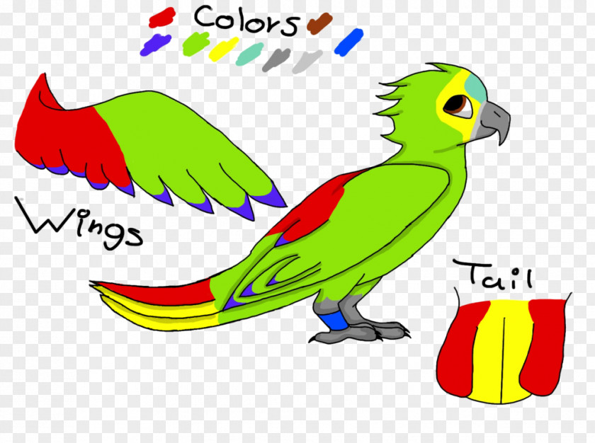 Rio Jewel Macaw Parakeet Beak Clip Art PNG