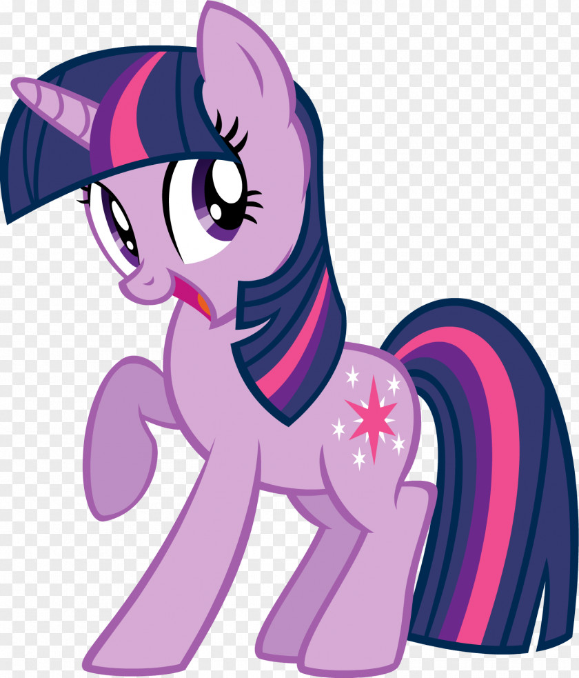 Twilight Sparkle Rarity Applejack Rainbow Dash Princess Celestia PNG