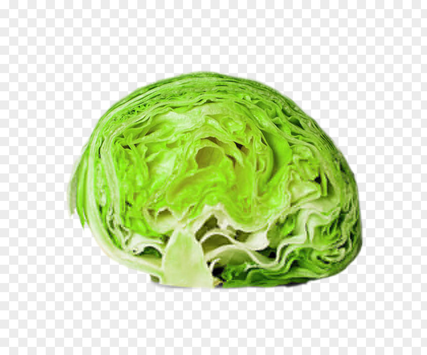 Vegetable Iceberg Lettuce Romaine Food Leaf PNG