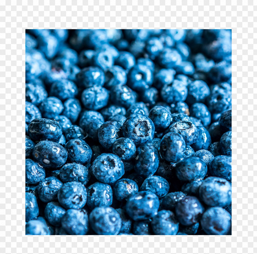 Blueberry Picture Material Fruit Auglis PNG