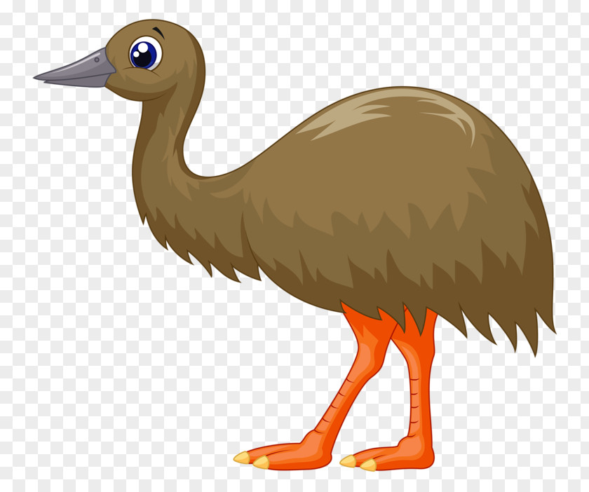 Brown Ostrich Common Bird Clip Art PNG