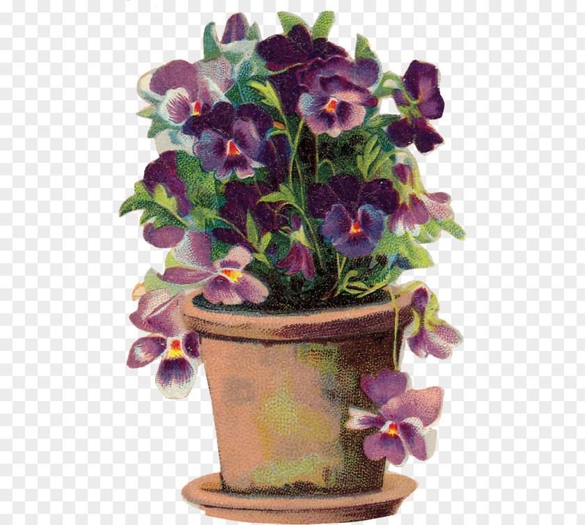 Painting Pansy Floral Design Gourd Art PNG