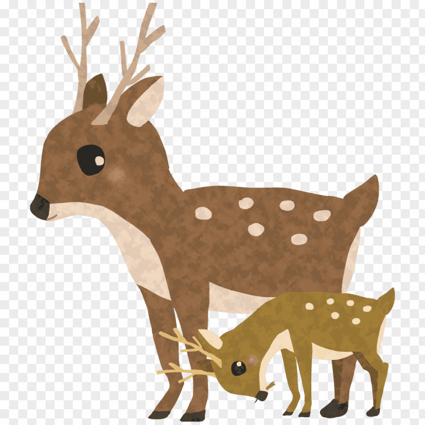 Reindeer Musk Deers Antler PNG