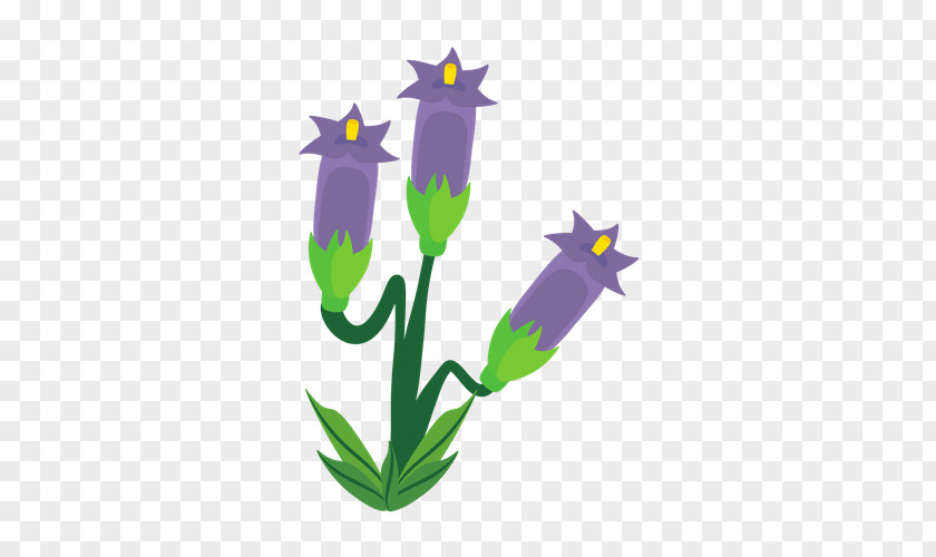 Crocus Drawing PNG