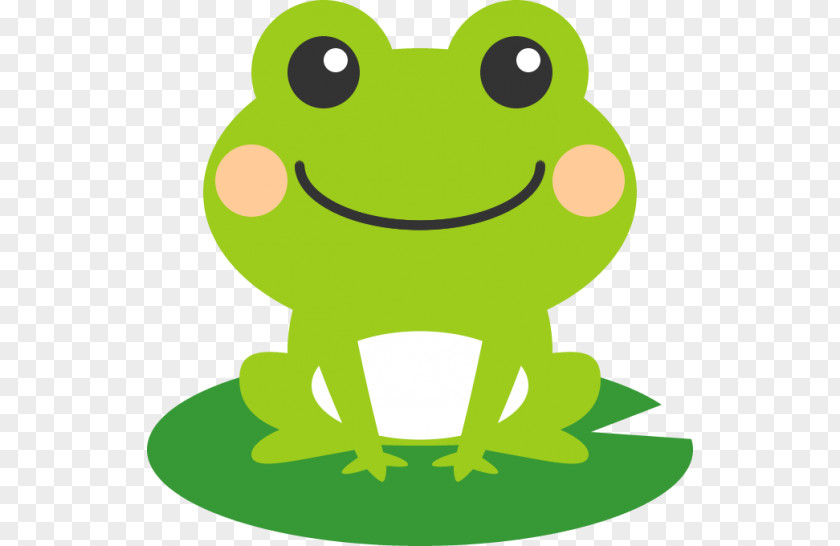 Frog Illustration Clip Art Image Amphibians PNG