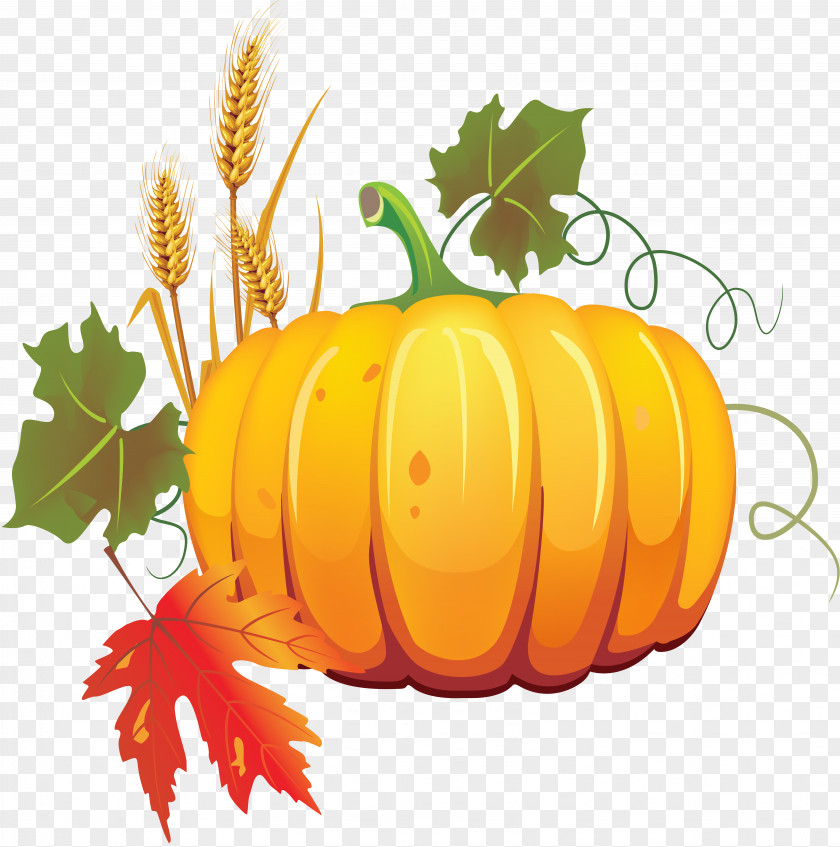 Pumpkin Autumn Vegetable Vegetarian Cuisine Clip Art PNG