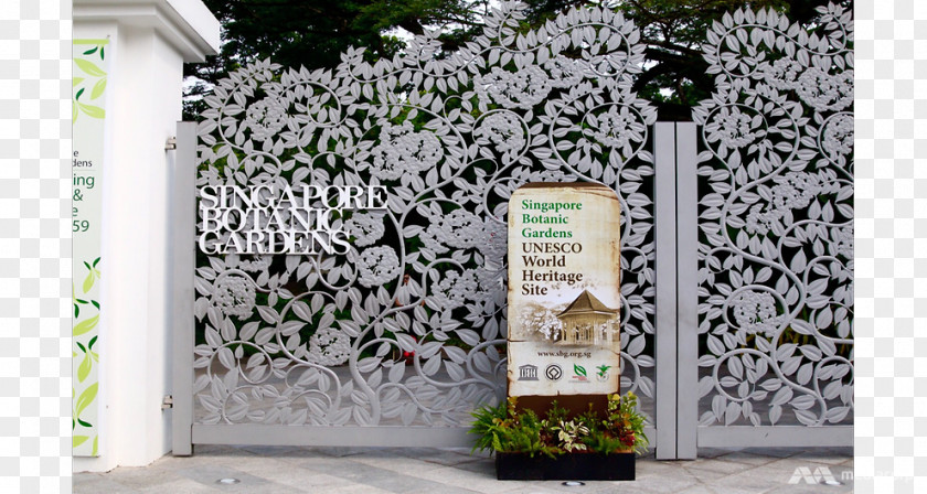 Tree Singapore Botanical Garden PNG