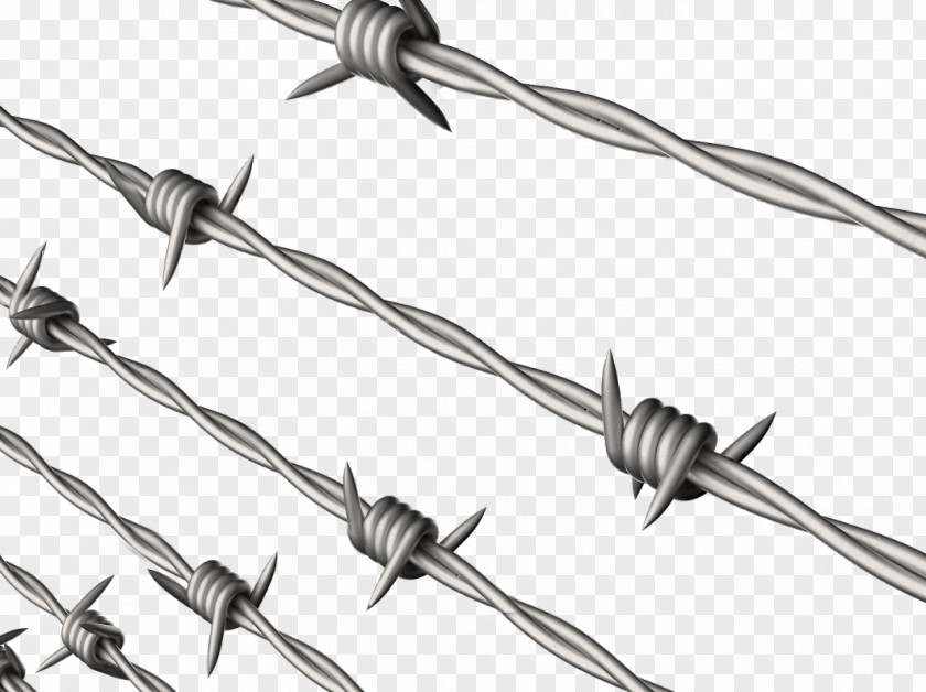 Barbed Wire Concertina Tape Chain-link Fencing PNG