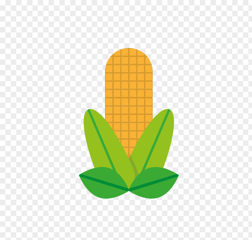 Corn Maize Cartoon PNG