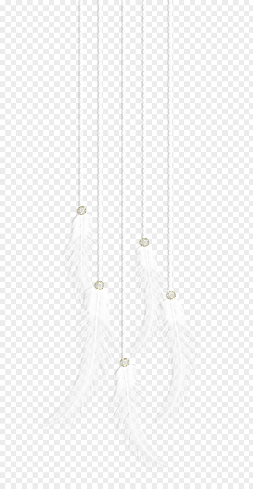 Feather White Pattern PNG