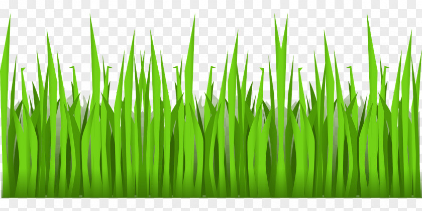 Grass Football Lawn Clip Art PNG