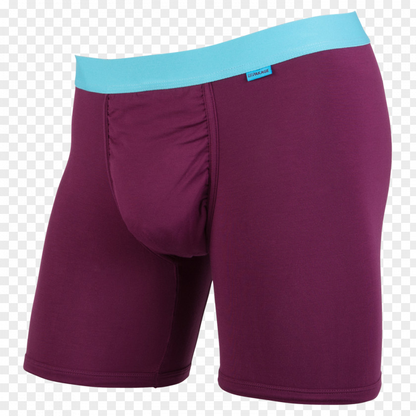 Trunks Waist Shorts PNG