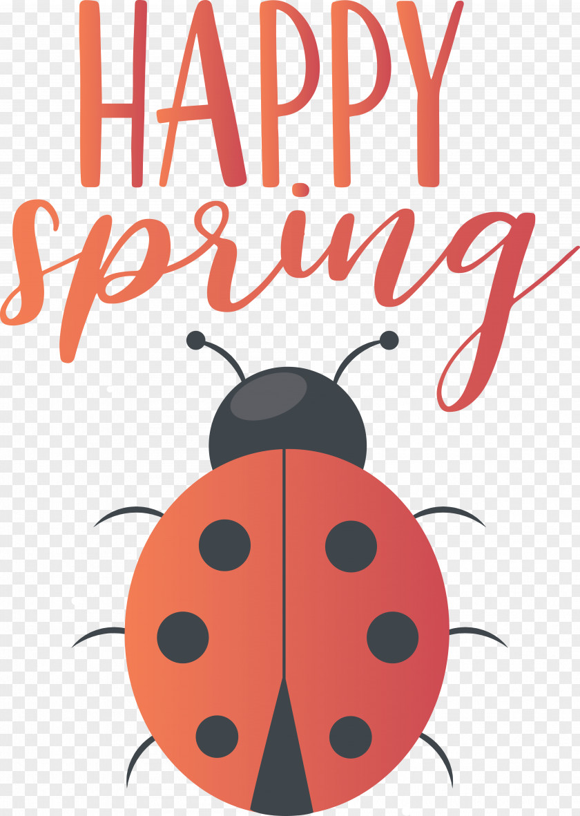 Beetles Cartoon Ladybugs Line Meter PNG