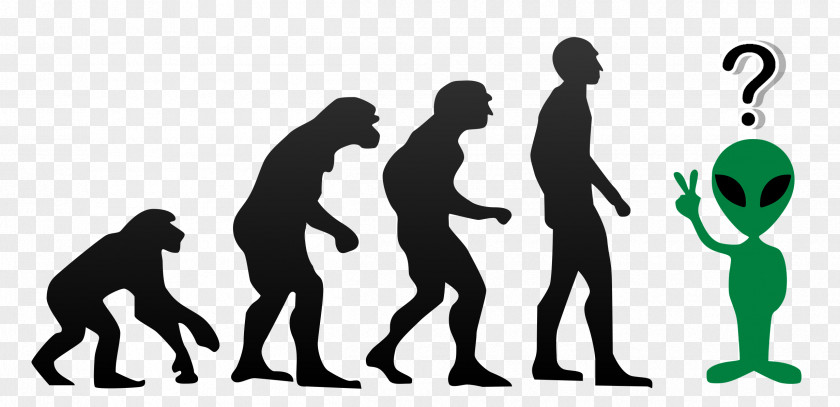 Behaviour Human Evolutionary Genetics Ape Homo Sapiens PNG