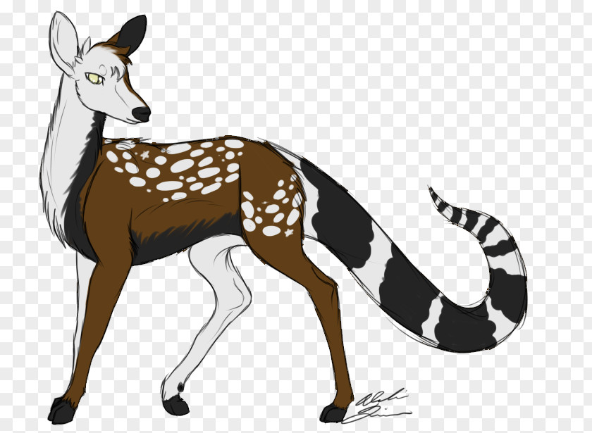 Deer Musk Deers Springbok Horse Gazelle PNG