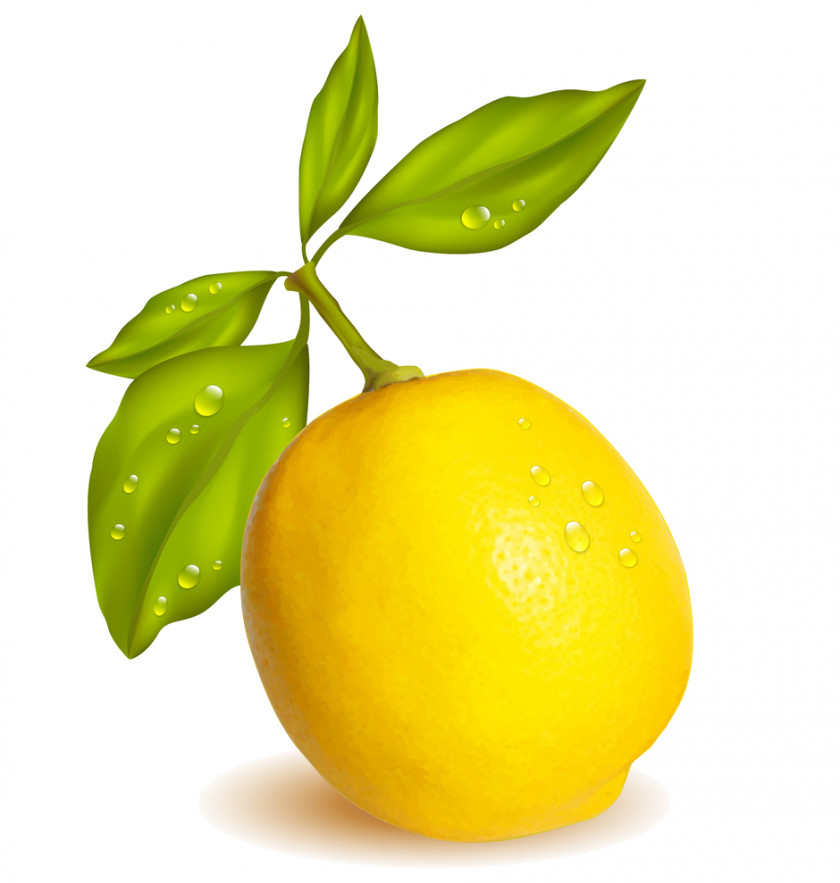 Lemon Lemon-lime Drink Fruit Sweet PNG