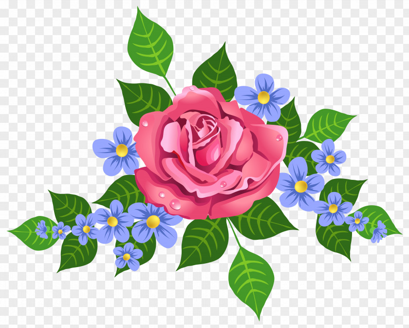 Pink Rose Decorative Element Image PNG