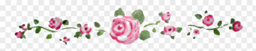 Tulip Rose Vine Flower Floral Design PNG