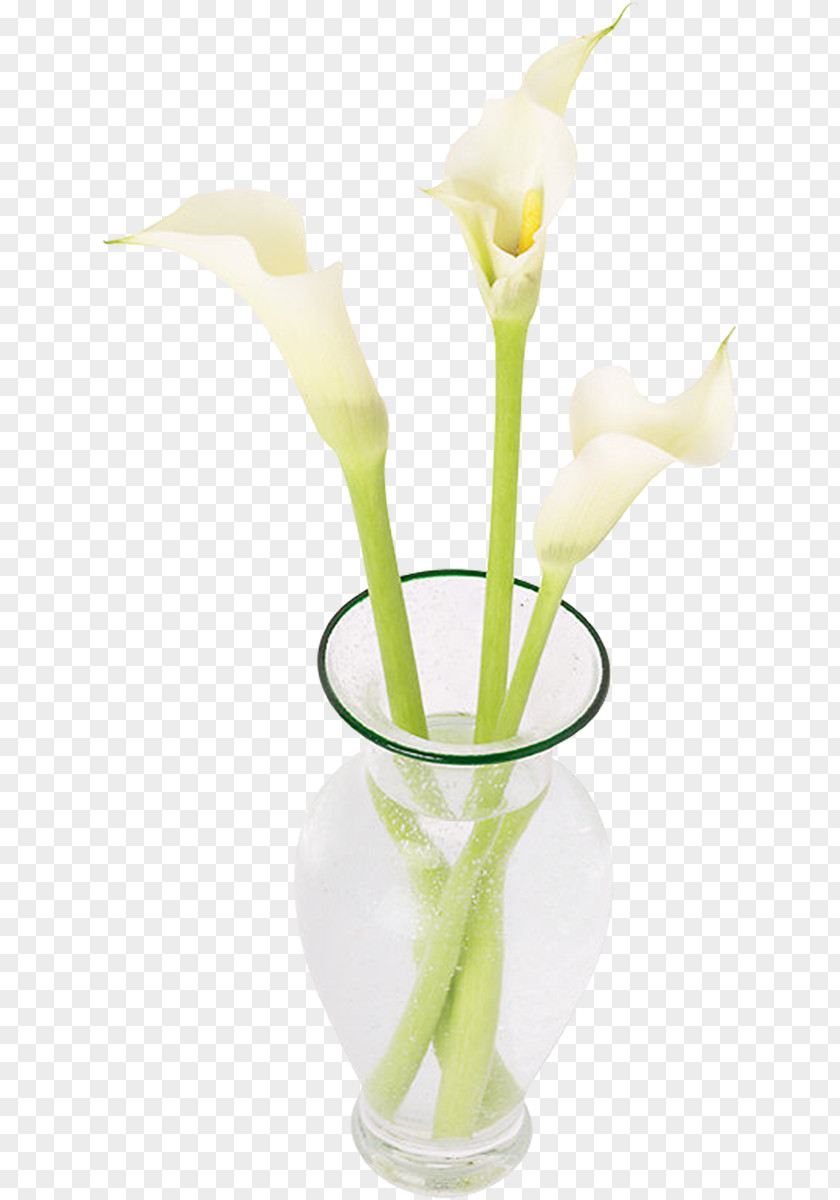 Vase Floral Design Depoe Bay Cut Flowers PNG